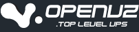 评测：OpenVZ.TOP 68元/年/256M G口 洛杉矶 简单测试