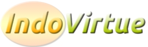 IndoVirtue：$3/月/1GB内存/20GB SSD空间/1TB流量/OVZ/拉斯维加斯