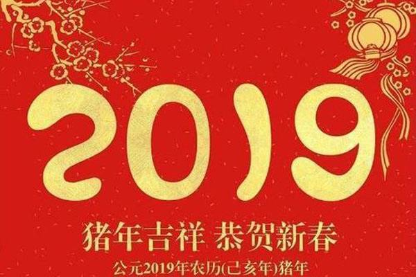 VPS推荐网恭祝您2019新年快乐！