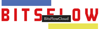 BitsFlow：199元/年/2GB内存/20GB SSD空间/600GB流量/60Mbps端口/KVM/香港/国内直连 原始IP